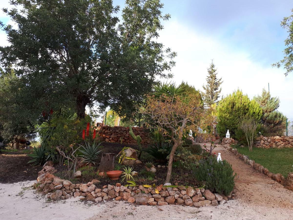 Quinta Teresinha Pensionat Silves Exteriör bild